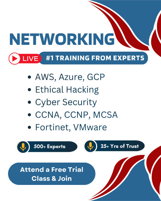 Networking Courses in Whanganui