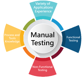Software Testing (Manual) Training in Napier