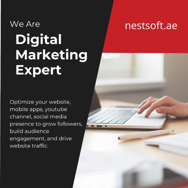 Digital Marketing Services in Hamilton