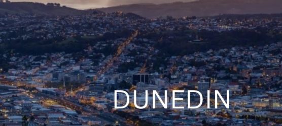  courses in dunedin