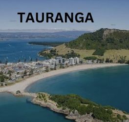  courses in tauranga